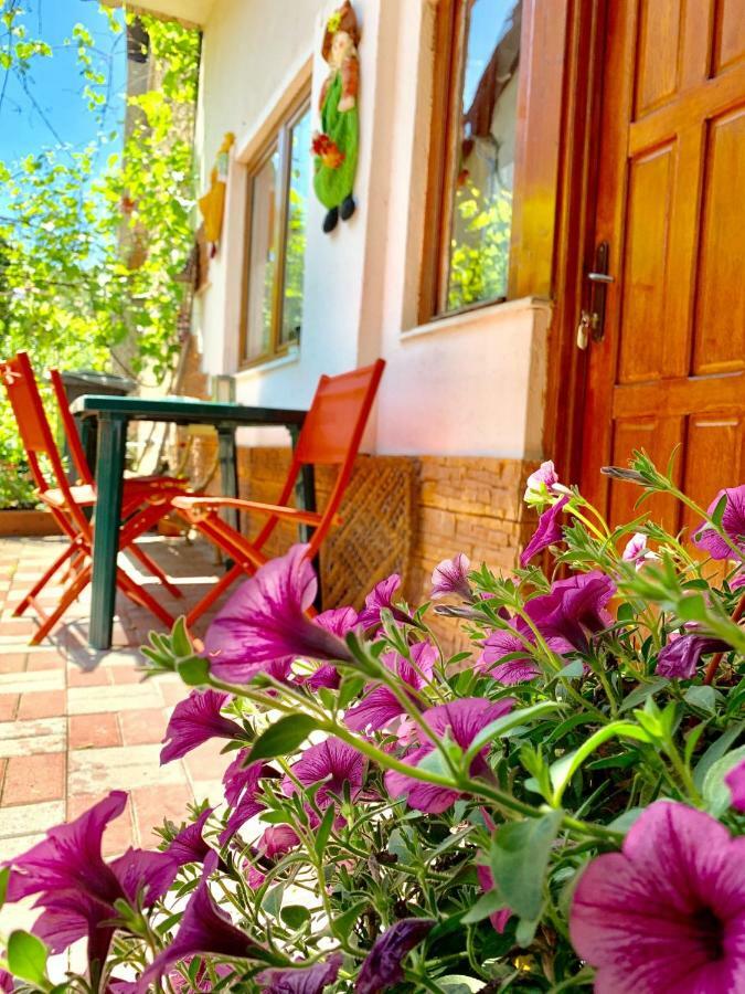 Apartamento Grinda House Braşov Exterior foto